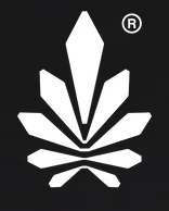 9REALMS logo